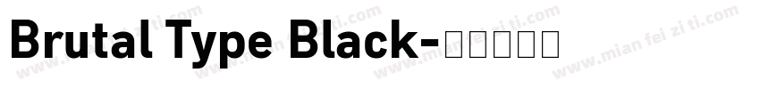 Brutal Type Black字体转换